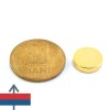 Magnet neodim disc 12.7 x 3.175 mm 1