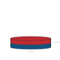 Magnet neodim disc 02 x 0.3 mm C