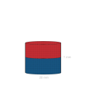 Magnet neodim disc 20 x 01 mm C