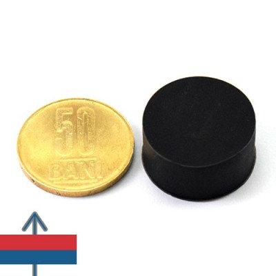 Magnet neodim disc 22 x 11.4 mm cauciucat 1