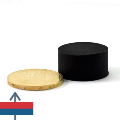 Magnet neodim disc 22 x 11.4 mm cauciucat 2