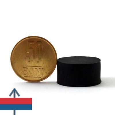 Magnet neodim disc 22 x 11.4 mm cauciucat 3