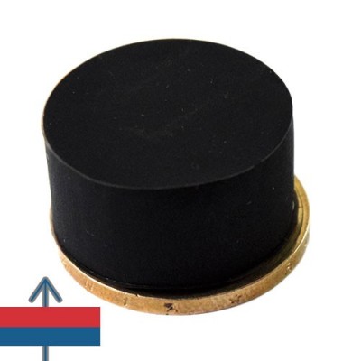 Magnet neodim disc 22 x 11.4 mm cauciucat 5