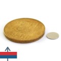 Magnet neodim disc 07 x 0.4 mm cu moneda de 50 bani și magnetizare