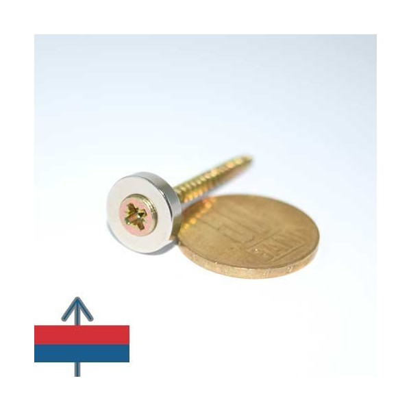 Magnet neodim inel D 13 mm 2