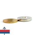 Magnet neodim oala D25 mm  fara carcasa 2