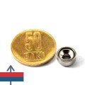 Magnet neodim oala D10 mm 5