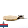 Magnet neodim oala D10 mm 3
