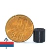 Magnet ferita disc 10 x 10 mm 1 2