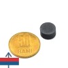 Magnet ferita disc 12 x 6 mm 1