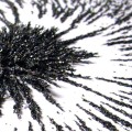 Pilitura de fier - 100 g - sub influența câmpului magnetic