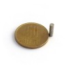Magnet neodim disc 3 x 0,5 mm - N42 cu magnetizare 2