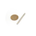 Magnet neodim disc 3 x 2 grup mic cu moneda 50 bani