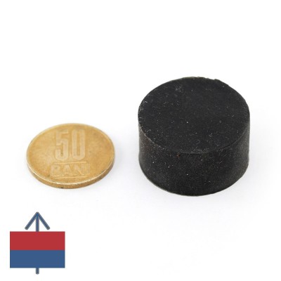 Magnet neodim disc 29 x 15 mm cauciucat - N45 cu magnetizare
