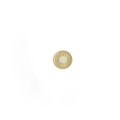 Magnet neodim disc 10 x 0.5 mm peste moneda de 50 bani