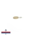 Magnet neodim disc 12 x 1.5 mm cu magnetizare și moneda de 50 bani