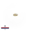 Magnet neodim disc 12 x 1.5 mm cu magnetizare peste moneda de 50 bani