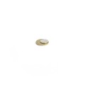 Magnet neodim disc 15 x 1,5 mm peste moneda de 50 bani