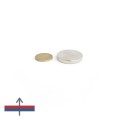 Magnet neodim disc 30 x 7 mm cu magnetizare și moneda de 50 bani