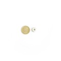 Magnet neodim inel 12 x 4 x 6 mm de sus cu moneda de 50 bani