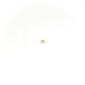 Magnet SmCo disc 5 x 3 mm