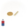 Magnet SmCo disc 5 x 3 mm - cu moneda de 50 bani și magnetizare