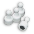 Pioneză magnetică neodim D 12 x 20  Alb