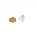 Pioneză magnetică neodim D 16 x 20 pinboard push pins 50 bani orizontal