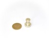 Pioneză magnetică neodim D 16 x 20 pinboard push pins 2