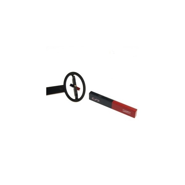 Identificator de poli magnetici