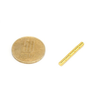 Magnet neodim cilindru 3 x 5 mm aurit grup si 50 bani