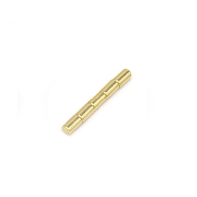 Magnet neodim cilindru 3 x 5 mm aurit grup