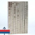 Magnet neodim bloc 10 x 05 x 01 mm 4