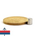 Magnet neodim cilindru 05 x 05 mm 3