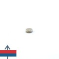 Magnet neodim disc 03 x 01 mm 4