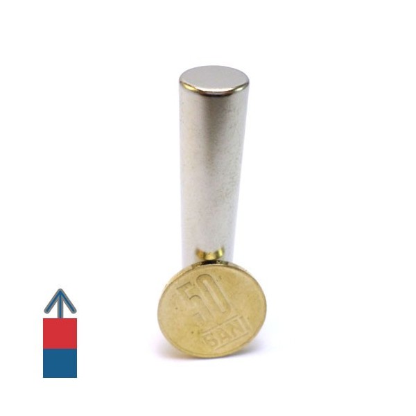 Magnet neodim cilindru 12 x 60 mm cu moneda de 50 bani verticala