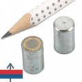 Magnet AlNiCo oala D10 mm 1