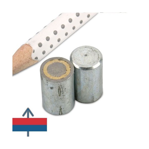 Magnet AlNiCo oala D10 mm 5