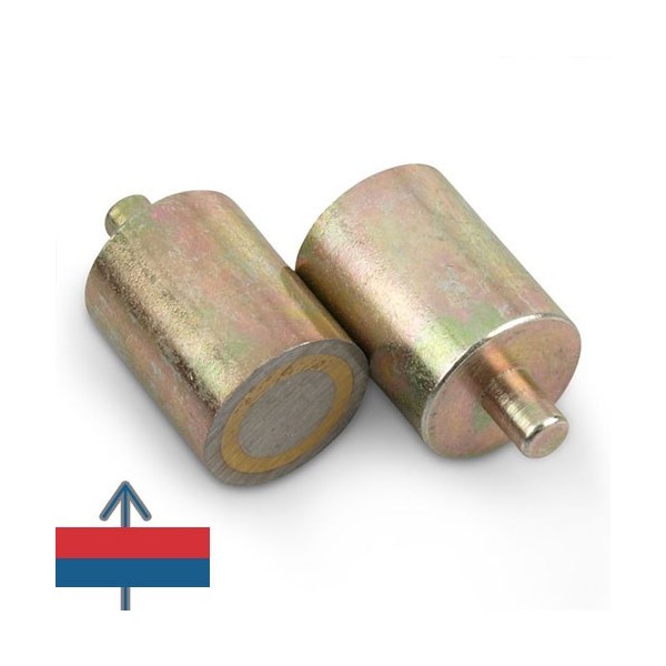 Magnet AlNiCo oala D20 mm 4