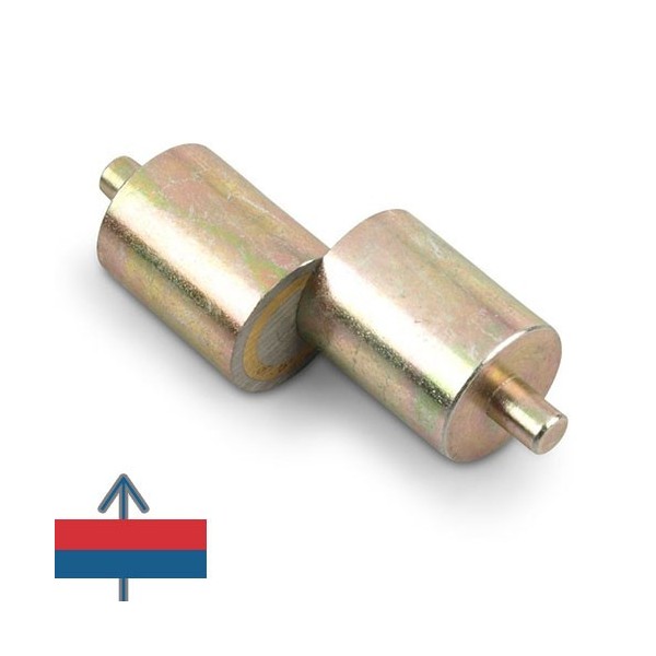 Magnet AlNiCo oala D20 mm 5