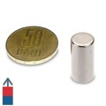 Magnet neodim cilindru 10  x 20 mm cu magnetizare și moneda de 50 bani