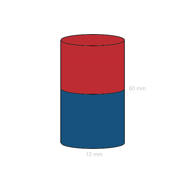 Magnet neodim disc 12 x 60 mm C