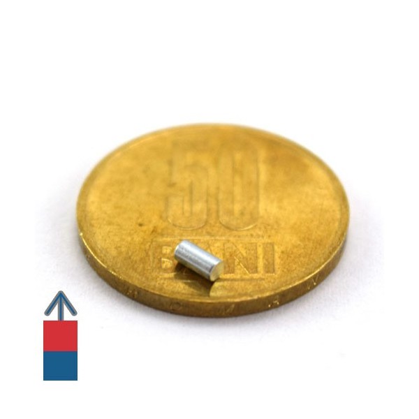 Magnet neodim cilindru 02 x 04 mm 4