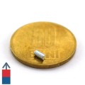 Magnet neodim cilindru 02 x 04 mm 4
