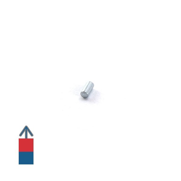 Magnet neodim cilindru 02 x 04 mm 5