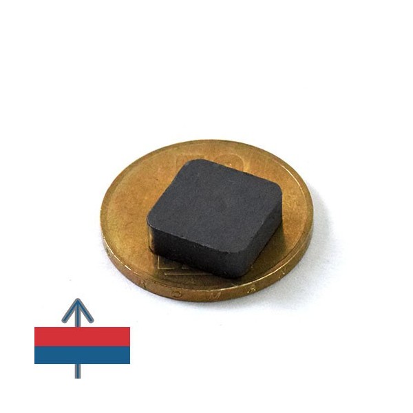 Magnet ferita bloc 12 x 12 x 4 mm 3