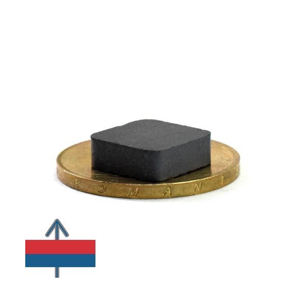 Magnet ferita bloc 12 x 12 x 4 mm 4