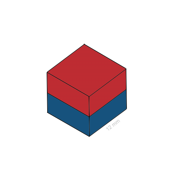 Magnet neodim cub 12 mm C