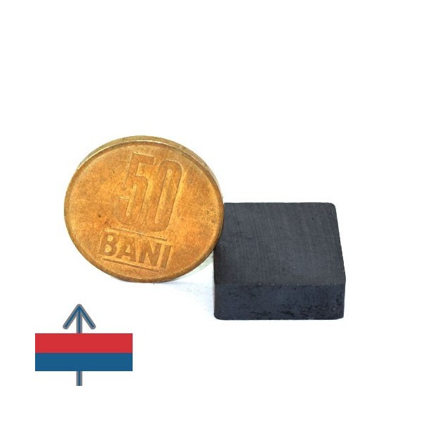 Magnet ferita bloc 25 x 19 x 06 mm 3