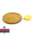 Magnet neodim disc 10 x 02 mm 8
